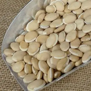 进口缅甸白扁豆清关要什么文件？