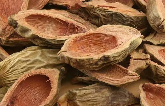 进口大腹皮清关手续和所需单证