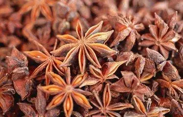越南八角茴香进口清关代理公司