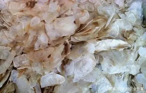进口缅甸中药材木蝴蝶清关手续