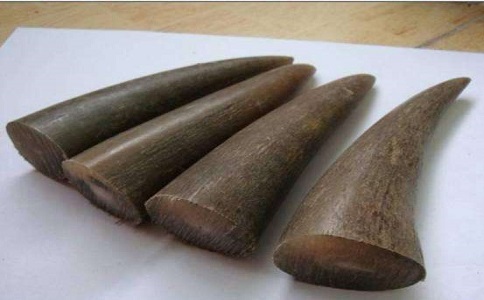 越南水牛角出口前要怎样抛光打磨？