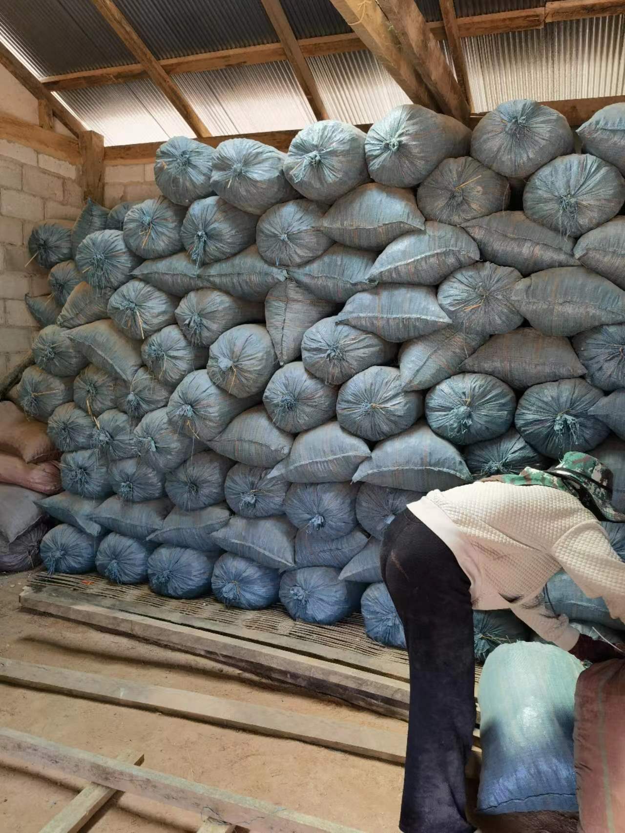 越南桉木片出口报关海运代理