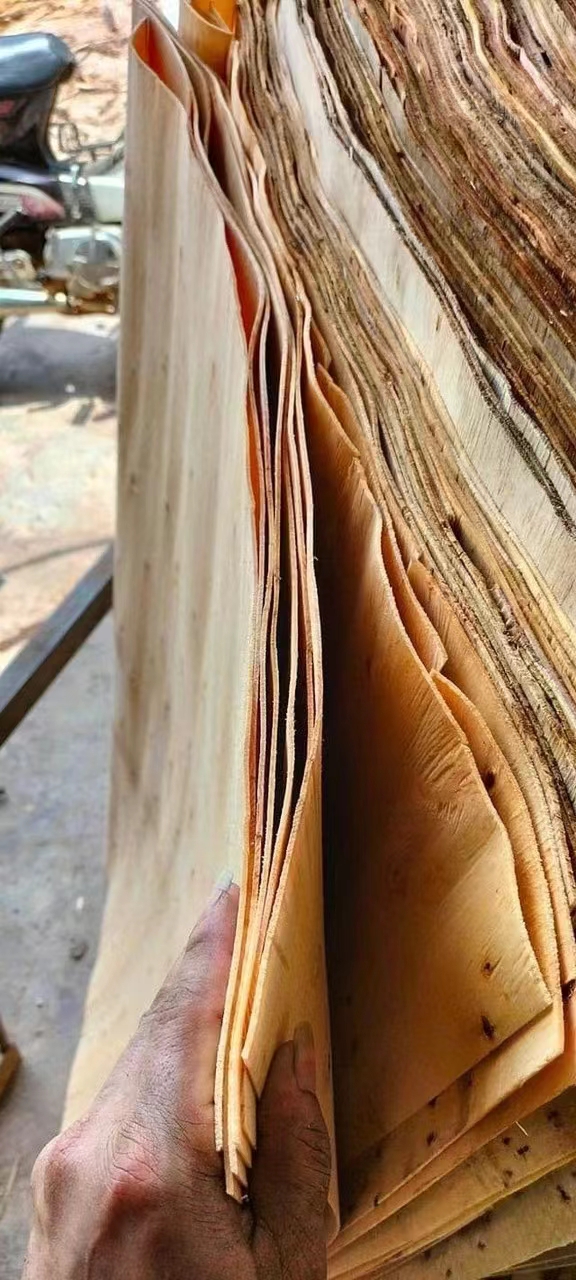 进口越南桉木片清关手续如何办理？