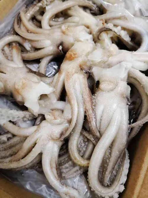 马来西亚冻墨鱼进口代理清关单证要哪些？