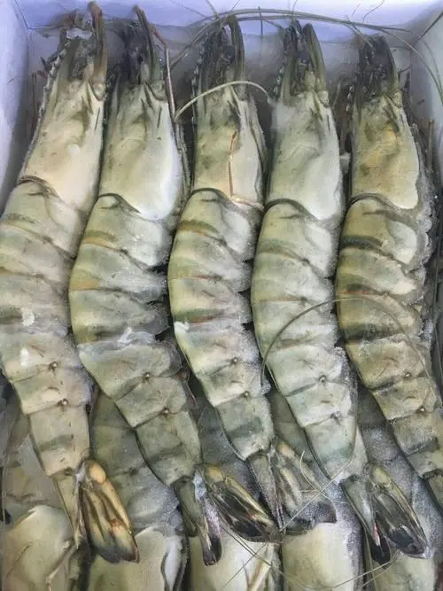 海鲜海产品进口清关货运服务