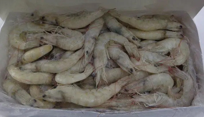 伊朗冻虾进口清关需要准备什么单证？