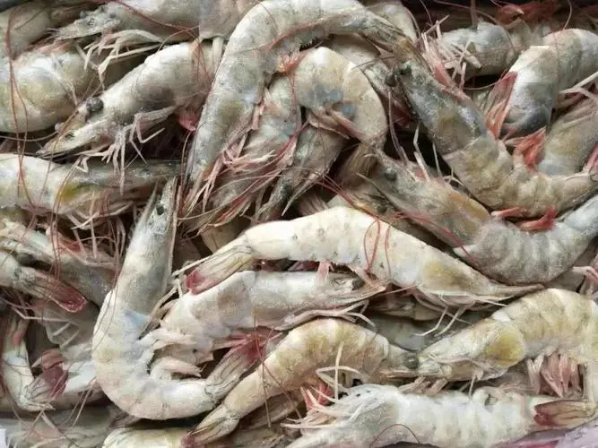 进口冷冻海鲜进口清关有什么要求？