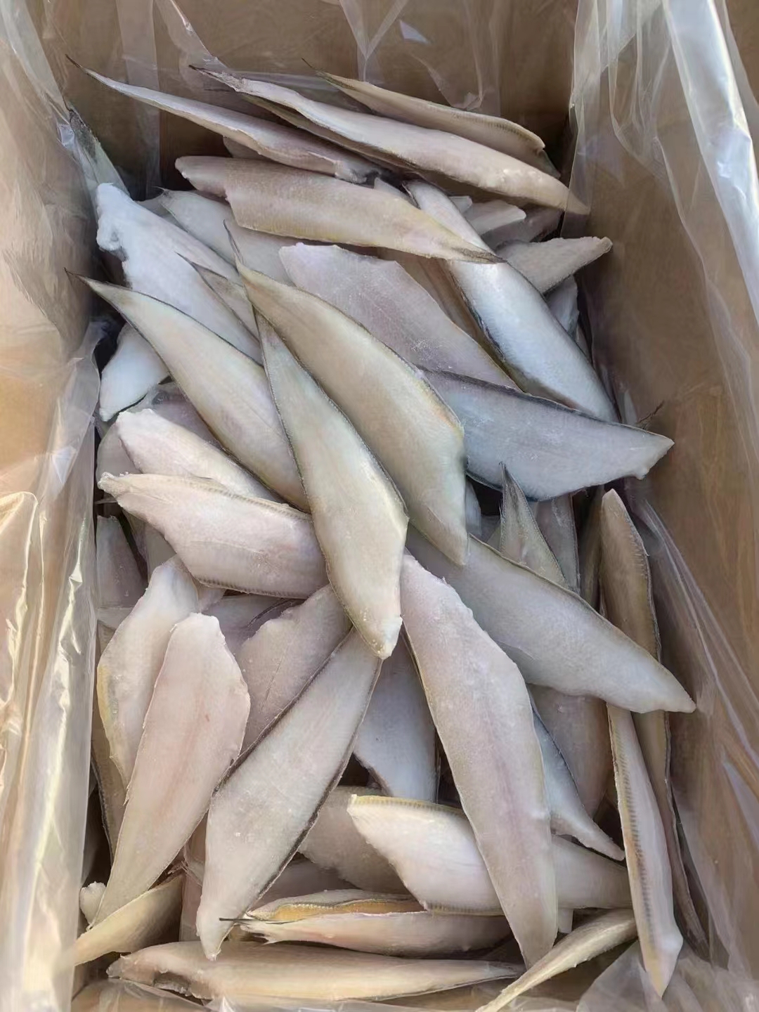 如何办理印度冻鱼进口清关手续？