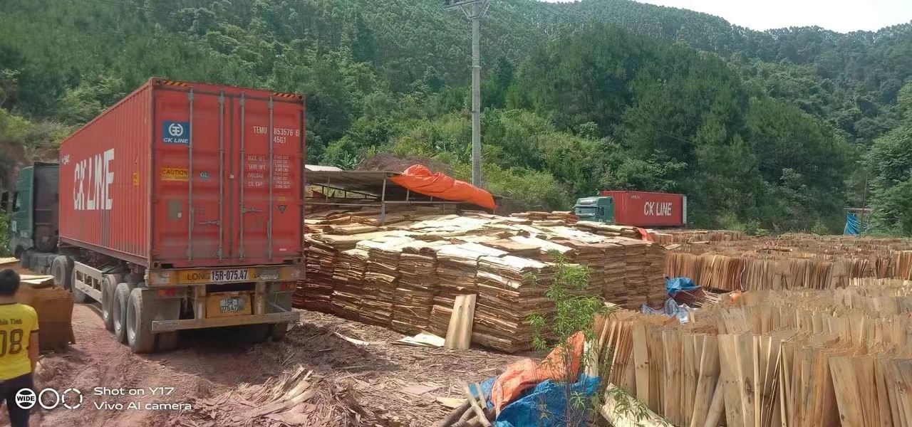 如何办理越南板材出口报关货运手续？
