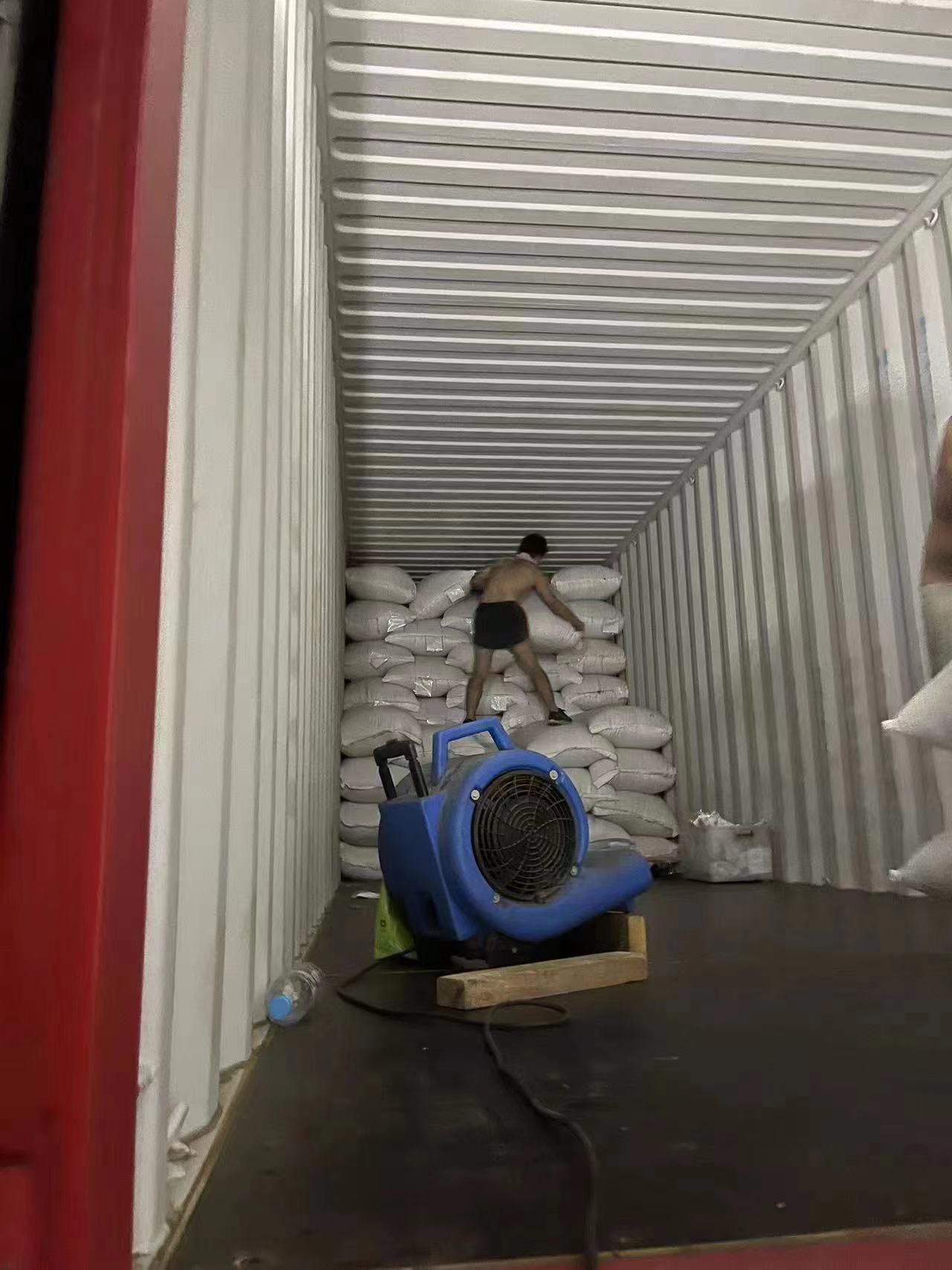 印尼雅加达发货到天津港整柜海运进口